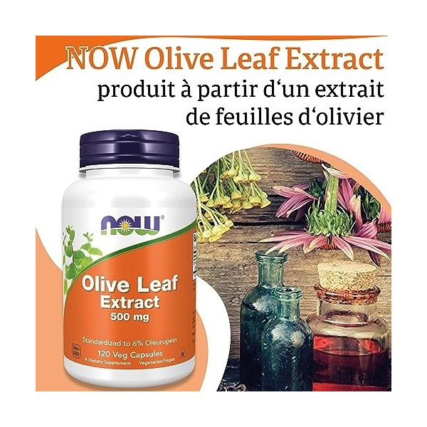 Now Foods, Olive Leaf Extract Extrait de Feuille dOlivier , 500mg, 120 Capsules végétaliennes, Testé en Laboratoire, Sans S