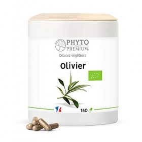 OLIVIER feuille – Olea europea – 180 gélules 200 MG BIO 