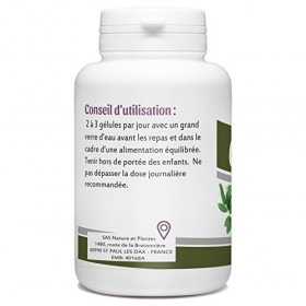 Olivier Feuille - 200 mg - 200 gélules