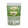 Neel Ayurvedics Giloy Tinospora cordifolia Poudre | Poudre de Giloe | Galo Powder - 250 g