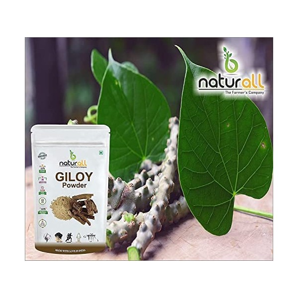 CROV B Naturall Giloy Powder/Guduchi/Tinospora Cordifola Poudre – 500 g x 2 - 1 kg