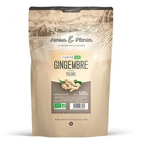 Gingembre Bio - 500 gr de poudre