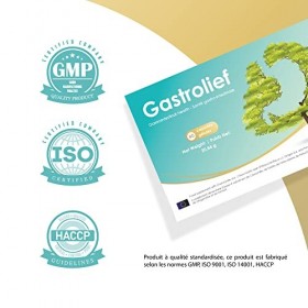 GASTROLIEF - Nutraceutique Naturel - Mastic de Chios, Camomille, Gingembre, Fenouil - Soutien Digestif Naturel - Anti-Reflux 
