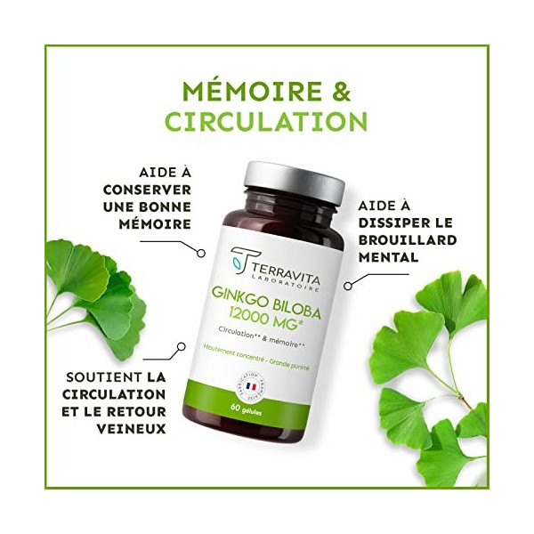 GINKGO BILOBA 12000 mg | Biodisponibilité Optimale | Booster Mémoire - Concentration - Performance Intellectuelle - Circulati