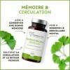 GINKGO BILOBA 12000 mg | Biodisponibilité Optimale | Booster Mémoire - Concentration - Performance Intellectuelle - Circulati