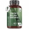 Ginkgo Biloba 6600mg + Ginseng Sibérien - 365 Comprimés 1 An Vegan - Extrait de Ginkgo Biloba 50:1 - Avec Flavone Glycosi