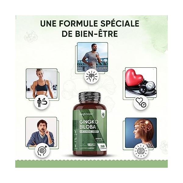 Ginkgo Biloba 6600mg + Ginseng Sibérien - 365 Comprimés 1 An Vegan - Extrait de Ginkgo Biloba 50:1 - Avec Flavone Glycosi