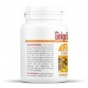 Ginkgo biloba Bio - 120 comprimés de 300 mg