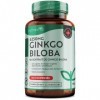 Ginkgo Biloba 6250mg - 365 Tablettes - Extrait de Gingko Biloba Végétalien 50:1 - Capsules de Ginko Biloba à haute dose - Con