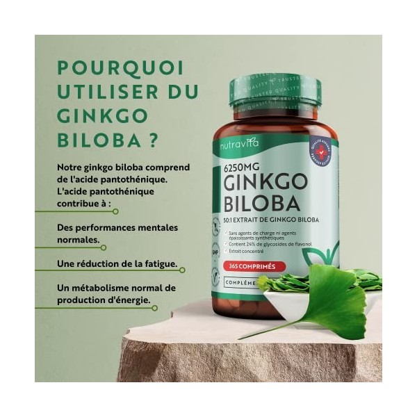 Ginkgo Biloba 6250mg - 365 Tablettes - Extrait de Gingko Biloba Végétalien 50:1 - Capsules de Ginko Biloba à haute dose - Con