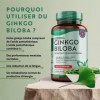 Ginkgo Biloba 6250mg - 365 Tablettes - Extrait de Gingko Biloba Végétalien 50:1 - Capsules de Ginko Biloba à haute dose - Con