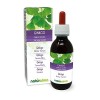 Ginkgo Ginkgo biloba feuilles Teinture Mère sans alcool Naturalma | Extrait liquide gouttes 120 ml | Complément alimentaire