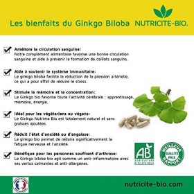 Ginkgo biloba Bio 90 gélules – Jambes lourdes – Apporte Energie, mémoire et Tonus–100&nbsp;% naturel pour plus de vivacité intelle