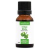 GINKGO BILOBA - 30mL - Macérat de bourgeons BIO Ginkgo biloba