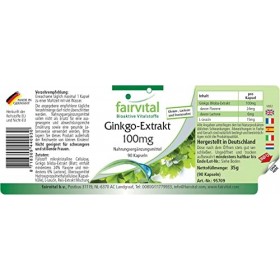 Fairvital | extrait de Ginkgo 100mg - set pour pendant 3 mois - VEGAN - 90 Capsules - normalisés pour au moins 24% de flavone