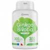 Ginkgo Biloba - 300 mg - 300 comprimés - 123gélules