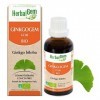 HerbalGem Ginkgogem Bio Complexe de Gemmothérapie Concentrée 30 ml