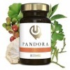 BESTME SUPLEMENTOS INTELIGENTES Pandora Nootropique Naturel, 1 Unité