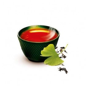 Thé Gingo Bio par Thés de La pagode | Thé vert au ginkgo biloba - Boîte 60 infusettes | Thé Bio | Formule renforcée et brevet