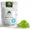 Ginkgo Biloba en poudre | sachet 100g | mémoire et concentration | micro-circulation | circulation sanguine | Fabriqué en Occ