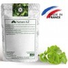 Ginkgo Biloba en poudre | sachet 100g | mémoire et concentration | micro-circulation | circulation sanguine | Fabriqué en Occ