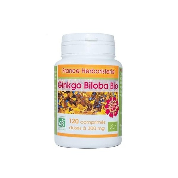 GPH Diffusion - GINGKO-BILOBA BIO AB 120 comprimés dosés à 300 mg en comprimés.