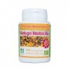 GPH Diffusion - GINGKO-BILOBA BIO AB 120 comprimés dosés à 300 mg en comprimés.