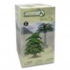Collecta - Arbre Ginkgo Biloba Arbre des Quarante Boucliers 89329 Co 90189329