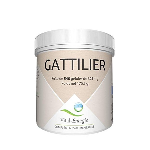 Vital-Energie Gattilier 540 gélules