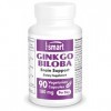 Supersmart - Ginkgo Biloba 60 mg - Standardisé à 24 % Ginkgoflavonglycosides et 6 % de Terpène Lactones ginkgolides A, B et 