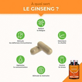 Ginseng Rouge et Blanc - 100% Naturel - Ratio d’Extraction 10:1- Dosé à 15% en Ginsénosides - Réduction de la fatigue - Aide 