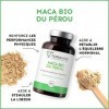 MACA BIO du Pérou Ginseng Péruvien | Performance, Fertilité, Désir et Énergie | Racine riche en Vitamines et Minéraux | 160