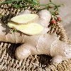RUE DES PLANTES - Bois Bandé poudre 100g - mélange de muira puama, de ginseng, de Tribulus et de gingembre