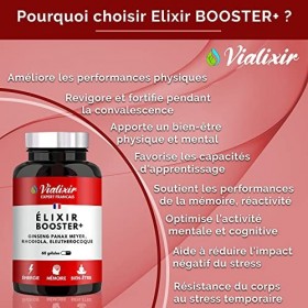 GINSENG PANAX + SIBERIEN + RHODIOLA | 6000mg/jour 10 :1 | 15% ginsénosides min | Énergie, Mémoire & Bien-Etre | Formule Uni