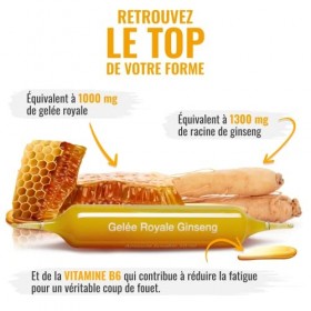 BLANCHE BRESSON - Gelée Royale Ginseng Vitamine B6 - Immunité, Energie, Vitalité, Tonus, Vigueur, Anti-Carences, Coup de Foue