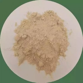 RUE DES PLANTES - Ginseng rouge poudre 100g - contribue au bon fonctionnement du système immunitaire