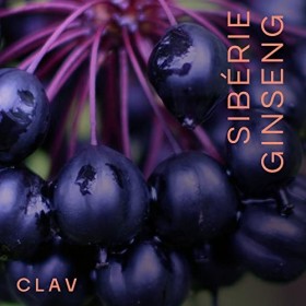 Ginseng Sibérien Extrait | 900mg Eleutherocoque Poudre per dose | Anit-Fatigue, Energie, Équilibre | 60 Gélules | Végan