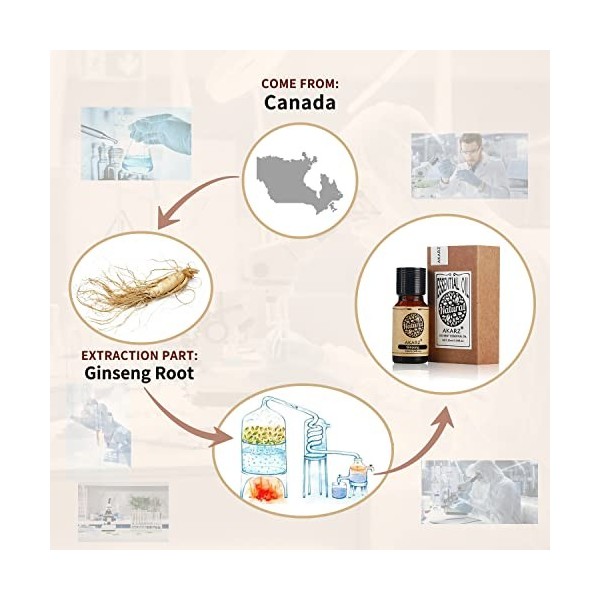 AKARZ huile essentielle de ginseng Naturelle Bio Huile de ginseng Thérapeutique Soins de la Peau, du Corps, des Cheveux, Boug