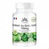 Gotu Kola 750mg - extrait à haute dose - végétalien - 120 comprimés - avec zinc et vitamine C | HERBADIREKT by Warnke Vitalst