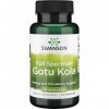 Swanson, Gotu Kola Nombril Indien , 435mg, Hautement Dosé, 60 Capsules, Testé en Laboratoire, Sans Gluten, Sans Soja, Sans O