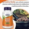 Now Foods, Gotu Kola, 450 mg, 100 Gélules végétales, Testé en Laboratoire, Végétal, Sans Gluten, Sans Soja, Végétarien