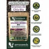 Graines de Chia Bio 1KG | Sources de Protéines, Oméga 3, Fibres | Salvia Hispanica | Qualité Supérieure