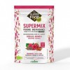 Supermix Framboise, Lin et Chia