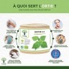 Ortie Bio - Bioptimal - Complément Alimentaire - Silicium Organique - Poudre de Feuille Ortie Pure - Articulation Peau Circul