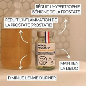 KOTOR PROSTATE | Troubles Urinaires, HBP, Envie Fréquente d’Uriner | Complexe Naturel & Français | Ortie Piquante + Palmier N