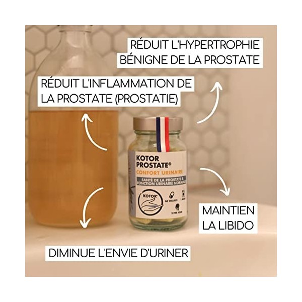 KOTOR PROSTATE | Troubles Urinaires, HBP, Envie Fréquente d’Uriner | Complexe Naturel & Français | Ortie Piquante + Palmier N