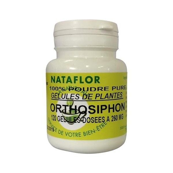 GELULES ORTHOSIPHON feuille 120 gélules dosées à 260 mg