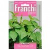 Franchi Ortie