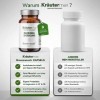 Kräutermax Capsules dortie Plus | Capsules dextrait dortie avec asperges | Capsules dortie végétaliennes et naturelles se