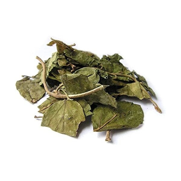 AOZA Organicgreen Herb Gurmar | Feuilles de Gudmar sèches – 200 g | MADHUNASHINI/Sirukurinjan | Podapatri | Feuilles de Madhu